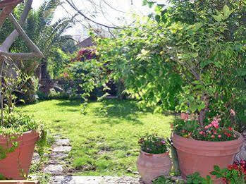 The Garden