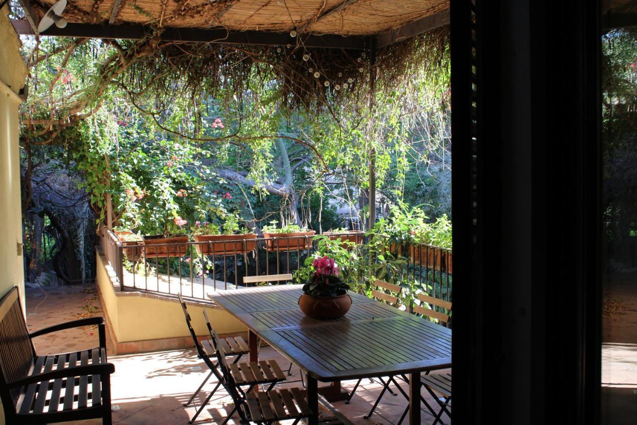 The Garden